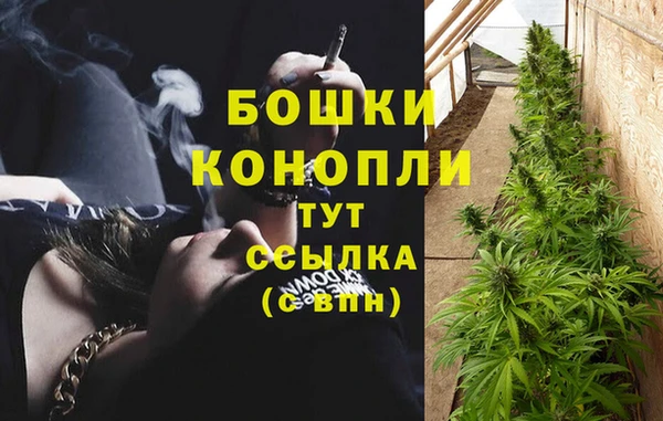 шишки Нефтегорск