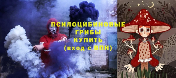 ГАЛЛЮЦИНОГЕННЫЕ ГРИБЫ Нефтекумск