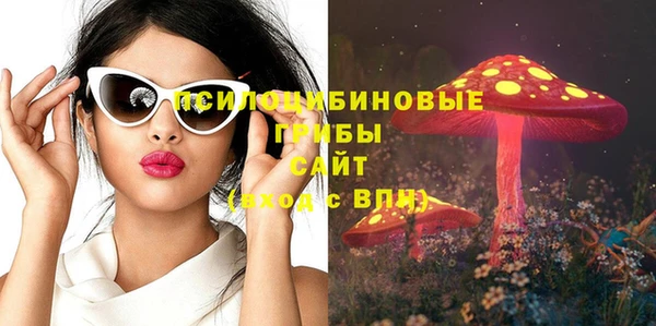 гидропоника Надым