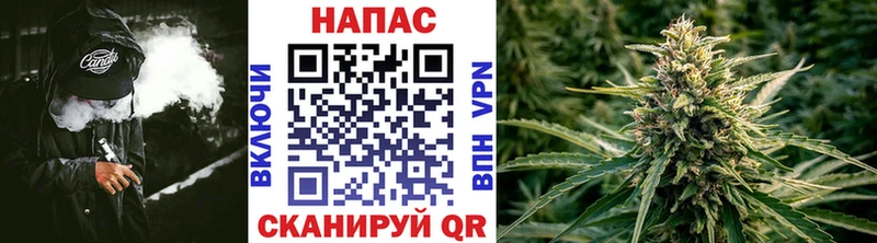 Бошки Шишки планчик  Энем 